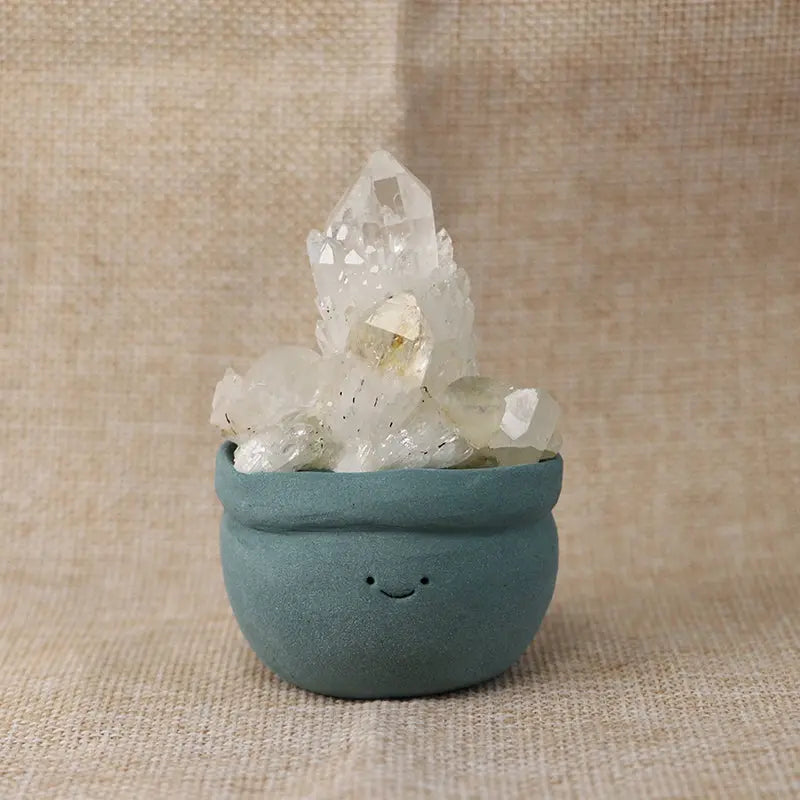 White Pineapple Quartz Cluster Crystal Pet Energy Garden Edition Shinepurity