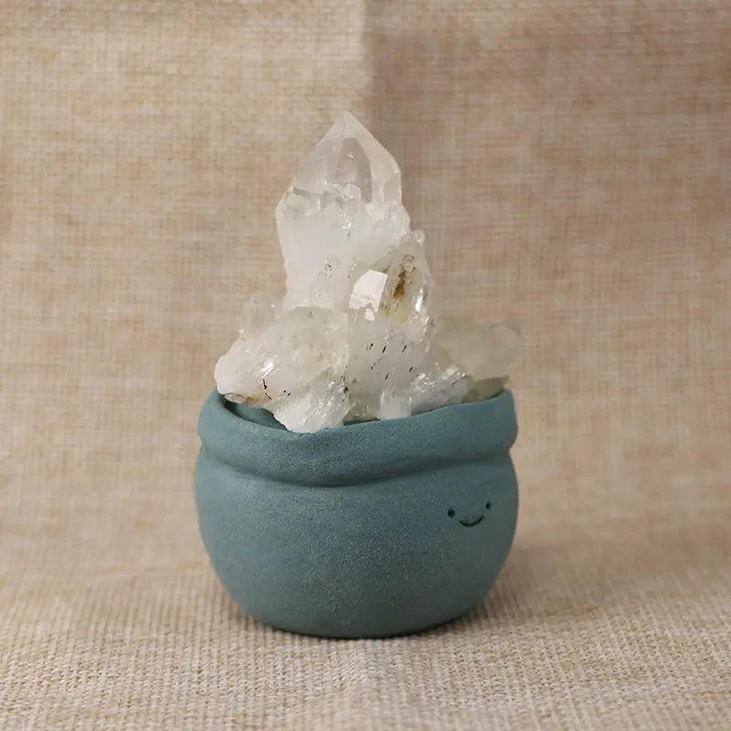 White Pineapple Quartz Cluster Crystal Pet Energy Garden Edition Shinepurity