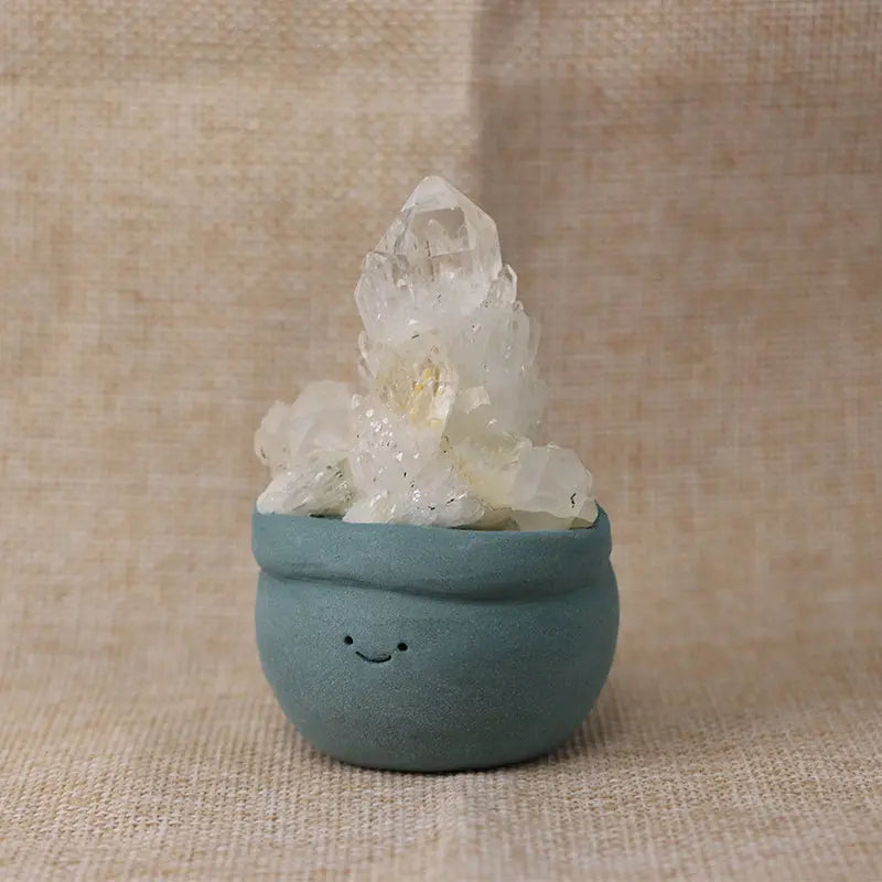 White Pineapple Quartz Cluster Crystal Pet Energy Garden Edition Shinepurity