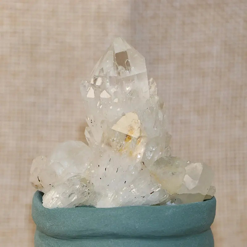 White Pineapple Quartz Cluster Crystal Pet Energy Garden Edition Shinepurity