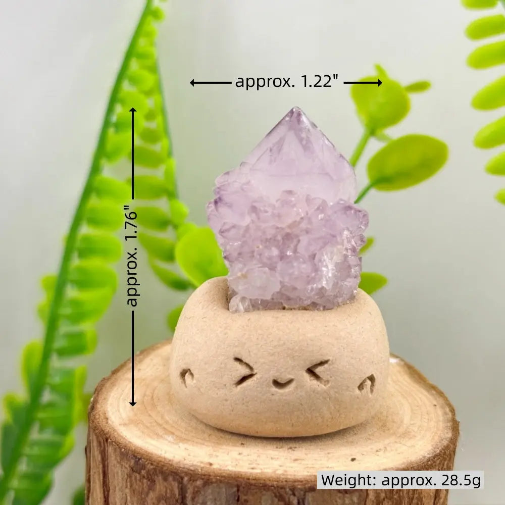Calm Corner Crystal Pet Shinepurity