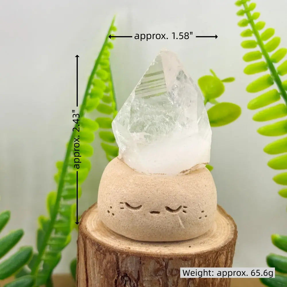 Quietly Companion Crystal Pets Shinepurity