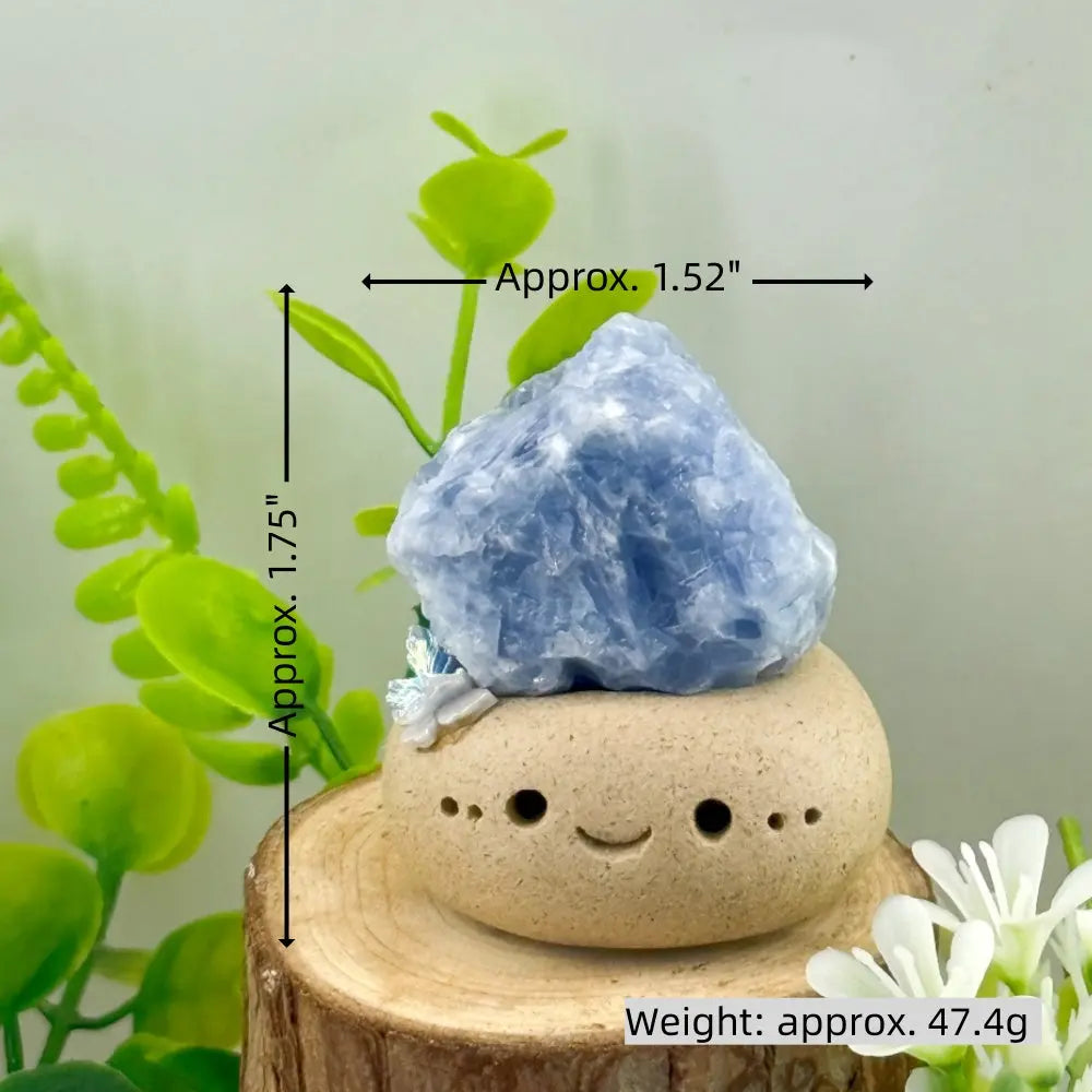 Blue Kyanite Crystal Pet for Cooling the Mind Shinepurity