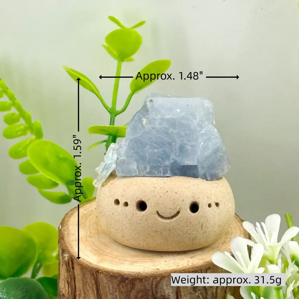 Blue Kyanite Crystal Pet for Cooling the Mind Shinepurity