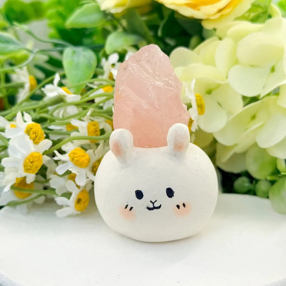 Simple Yet Warm Rose Quartz Crystal Pet Shinepurity