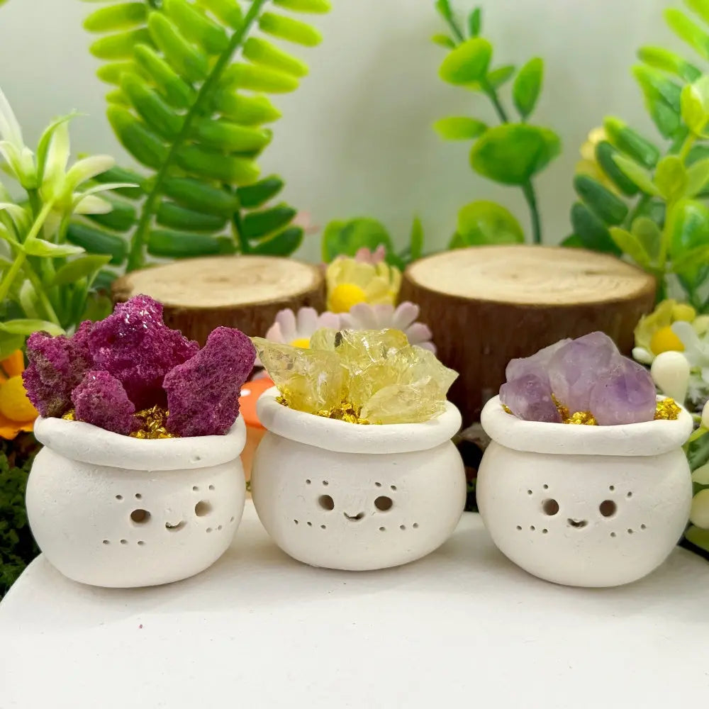 A Little Softness for Your Desk Crystal Pet Planter Shinepurity