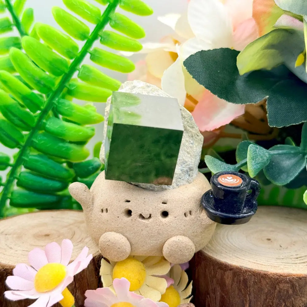 Pyrite Cube Crystal Pet A Small Presence with Calm Strength Shinepurity