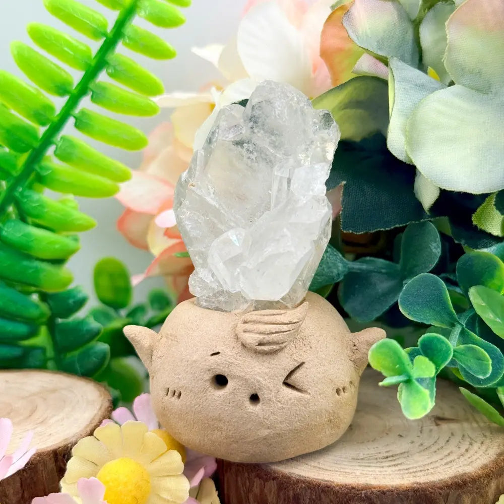 Clear Quartz Crystal Pet A Light and Soothing Little Companion Shinepurity