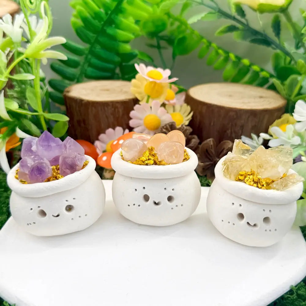 Three Crystal Flower Pot Pet A Touch of Natural Color for Everyday Shinepurity
