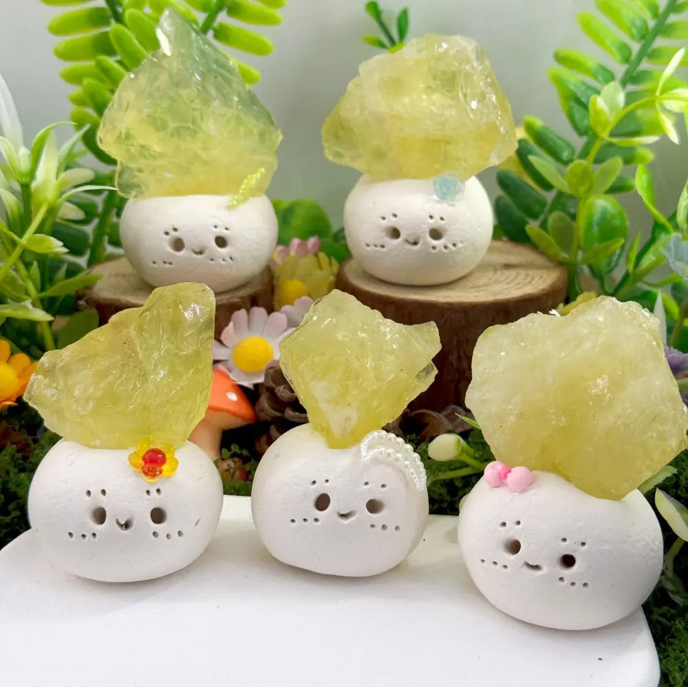 A Citrine Crystal Pet Gentle Like Sunshine Shinepurity