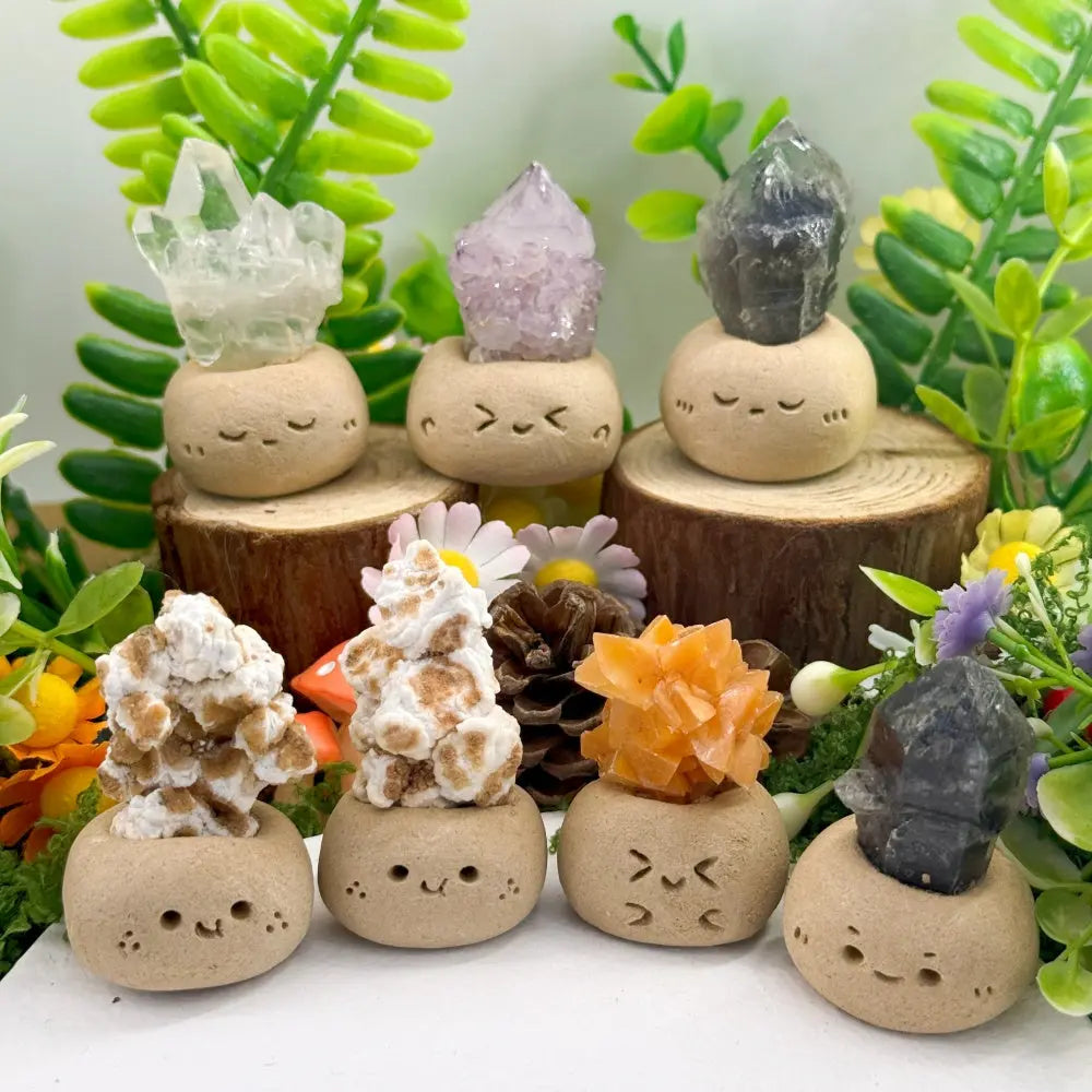 Calm Corner Crystal Pet Shinepurity