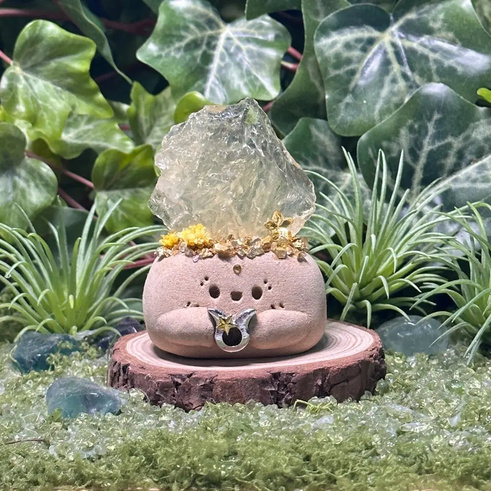 Customize | Taurus Citrine Crystal Pet A Little Piece of Slow Living Shinepurity
