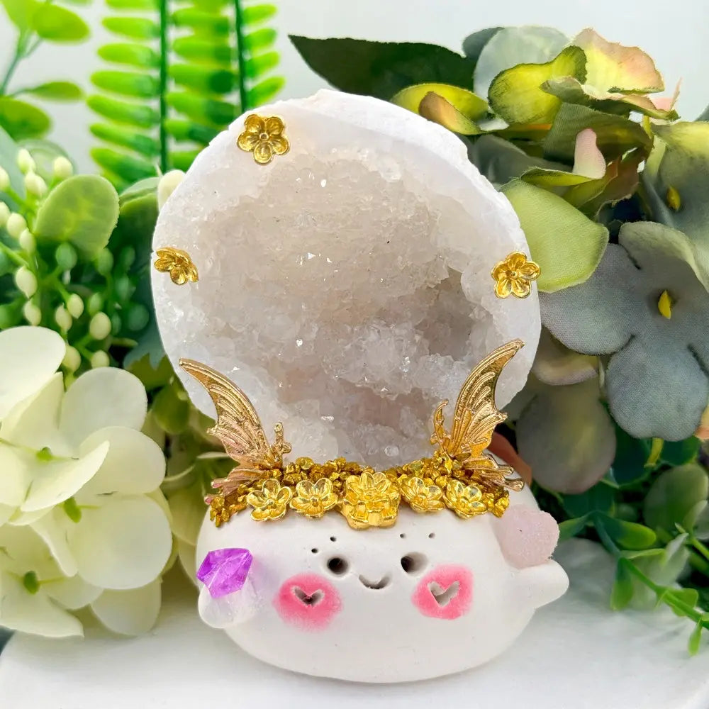 Clear Quartz Geode Crystal Pet A Quiet Little World of Light Shinepurity