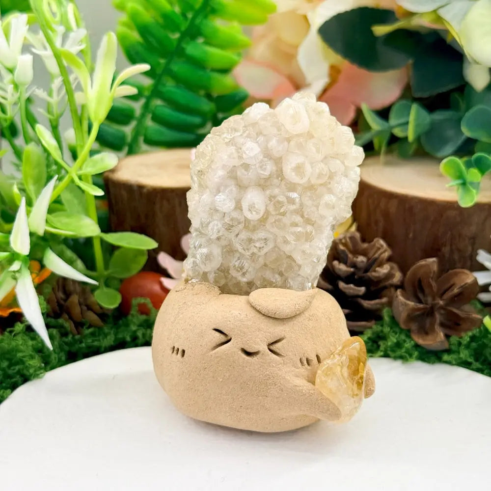 Fluorite Crystal Pet A Little Moment of Quiet Relaxation Shinepurity