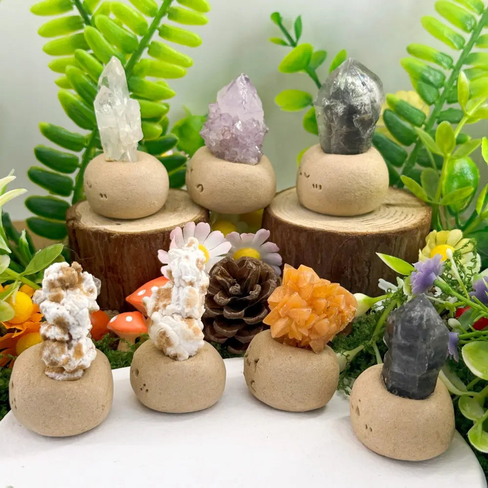 Calm Corner Crystal Pet Shinepurity