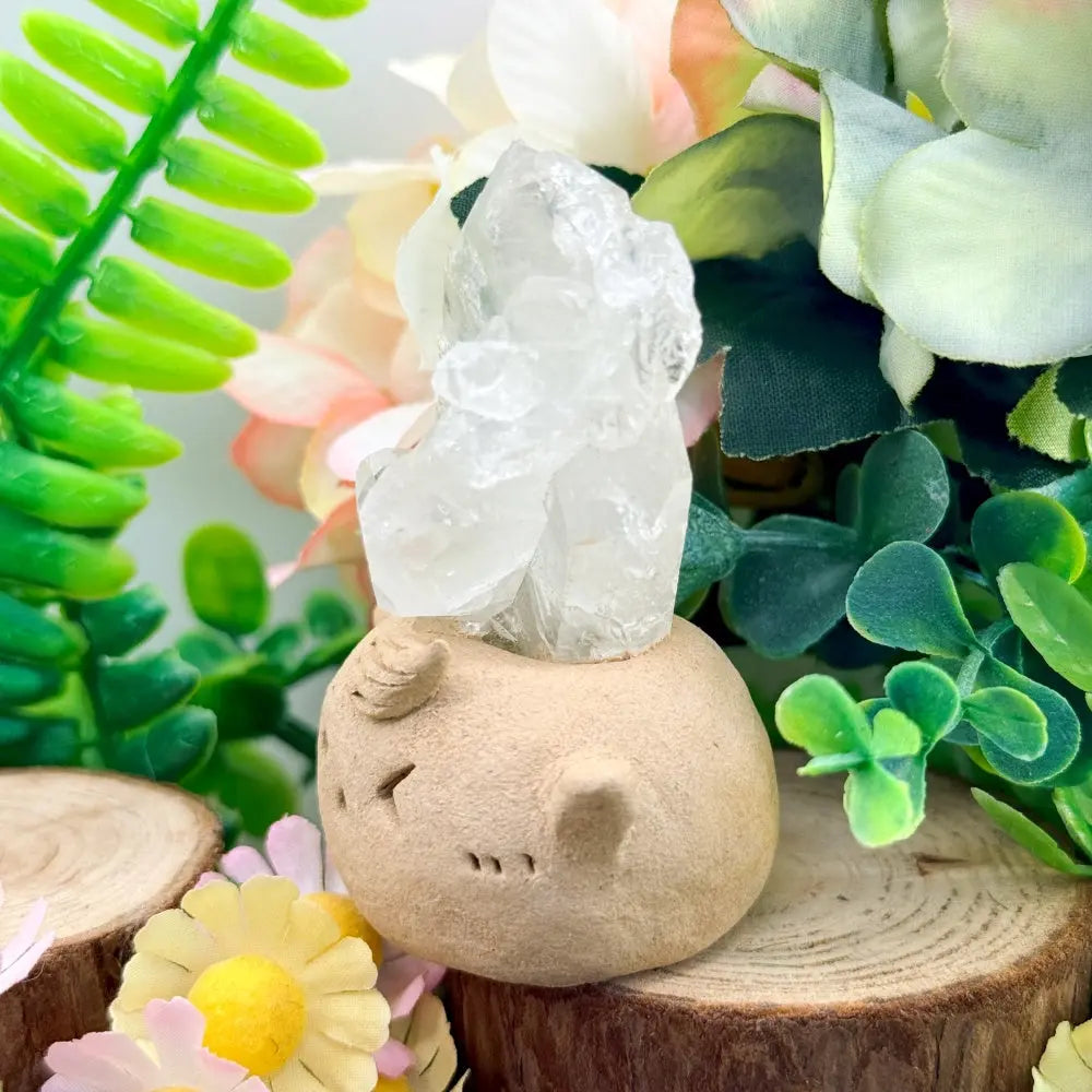 Clear Quartz Crystal Pet A Light and Soothing Little Companion Shinepurity