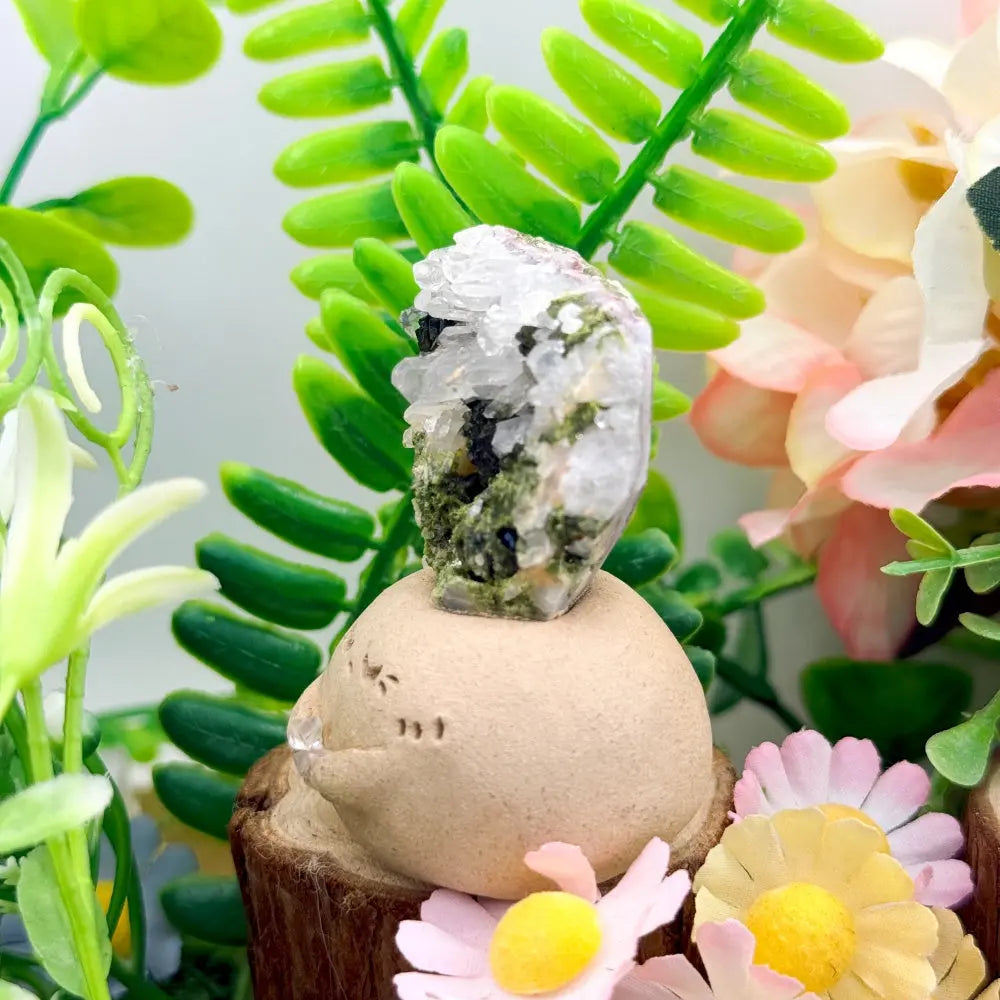 Epidote Quartz Crystal Pet A Touch of Forest Softness for Your Desk Shinepurity