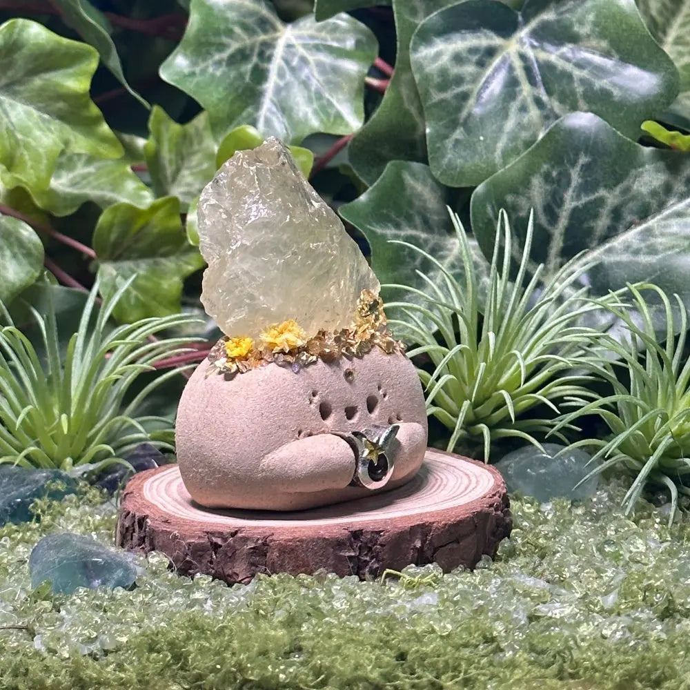 Customize | Taurus Citrine Crystal Pet A Little Piece of Slow Living Shinepurity