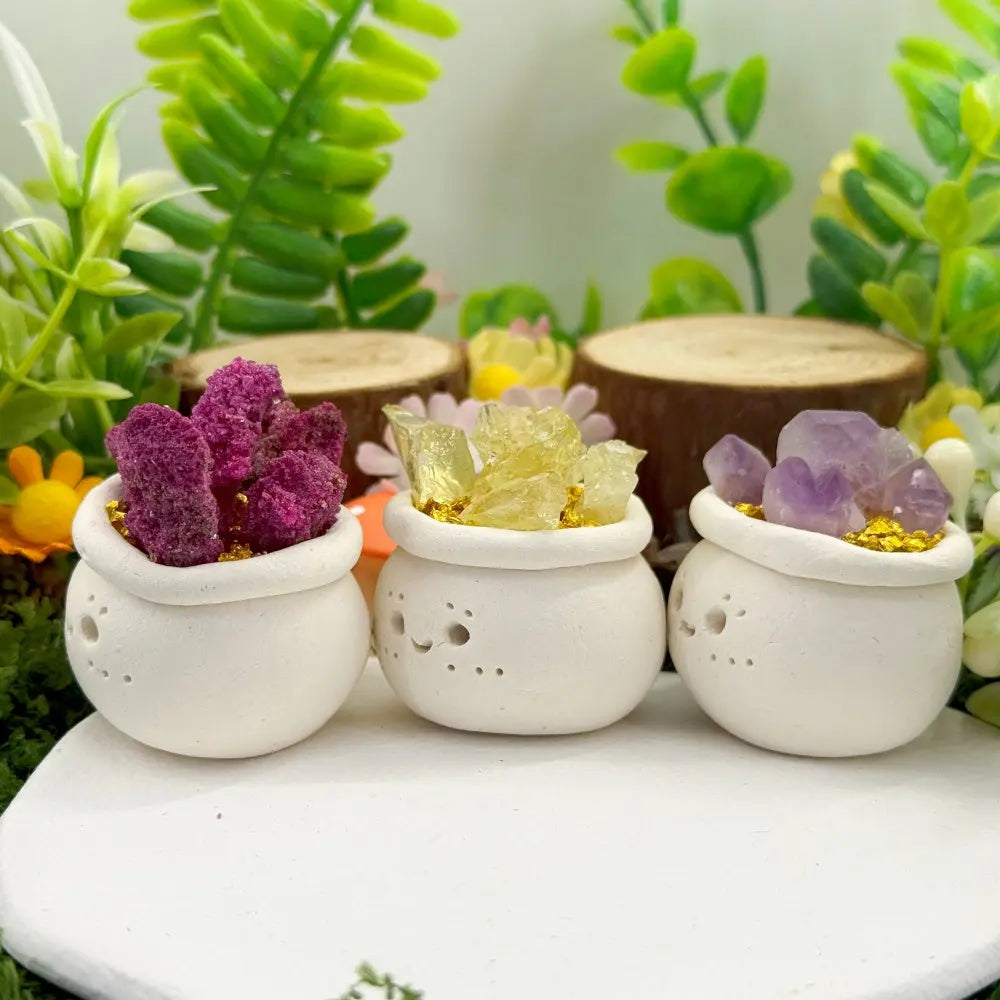 A Little Softness for Your Desk Crystal Pet Planter Shinepurity