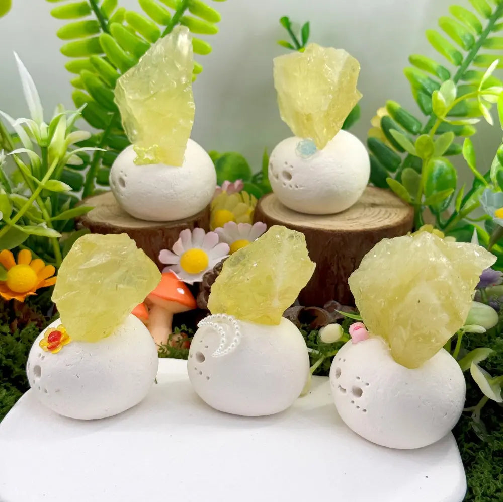 A Citrine Crystal Pet Gentle Like Sunshine Shinepurity