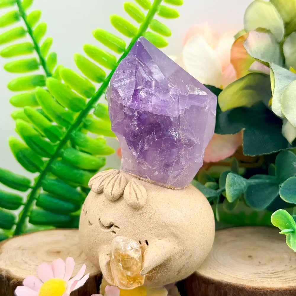 Amethyst Crystal Pet A Quiet Moment of Relaxation Shinepurity