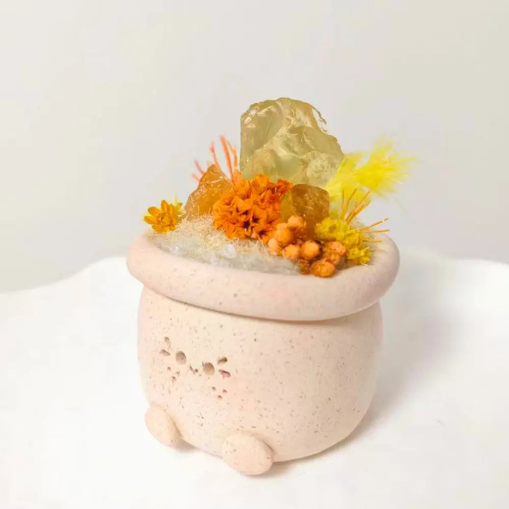 Sunshine Series Two-Tone Citrine Crystal Pet Planter Shinepurity