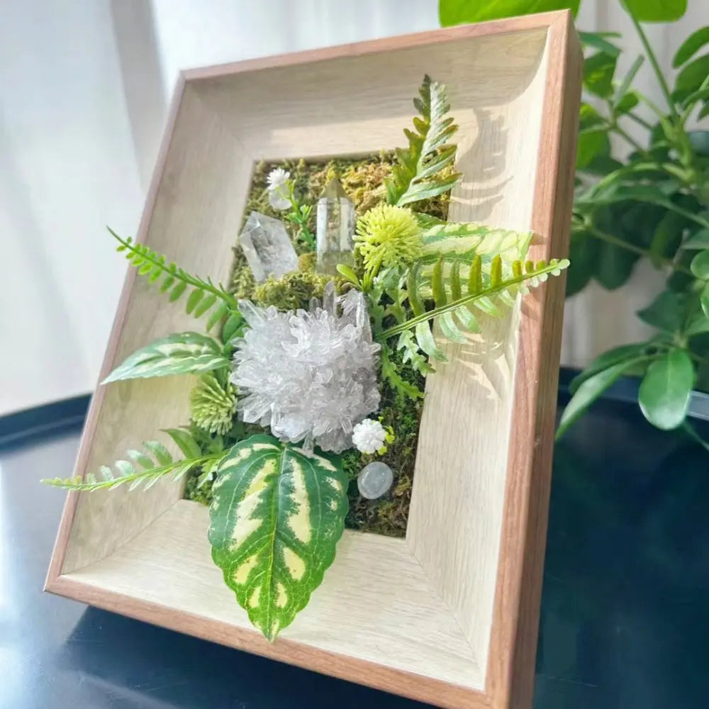Designer Limited Edition | A Crystal Garden Hidden in the Forest Shinepurity