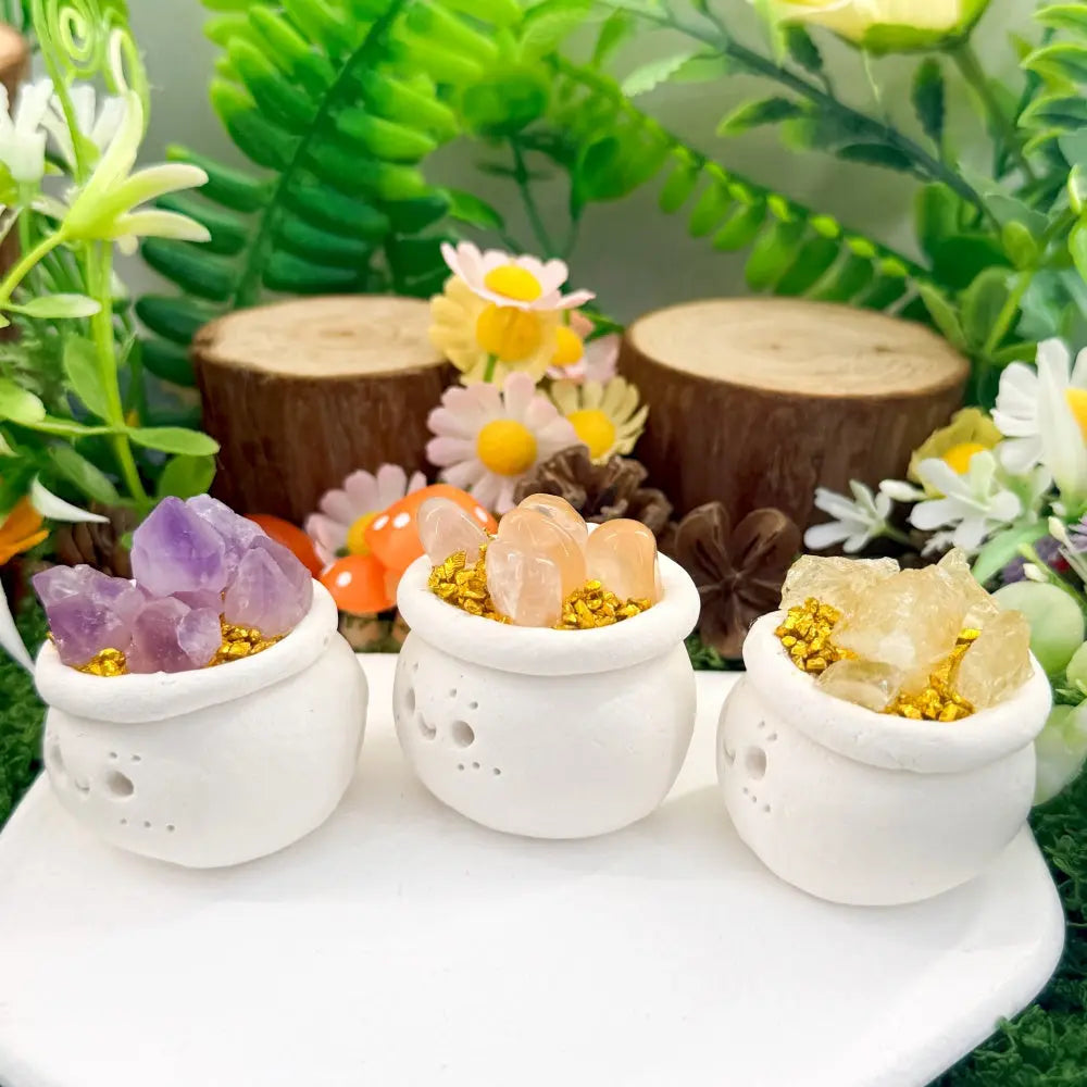 Three Crystal Flower Pot Pet A Touch of Natural Color for Everyday Shinepurity