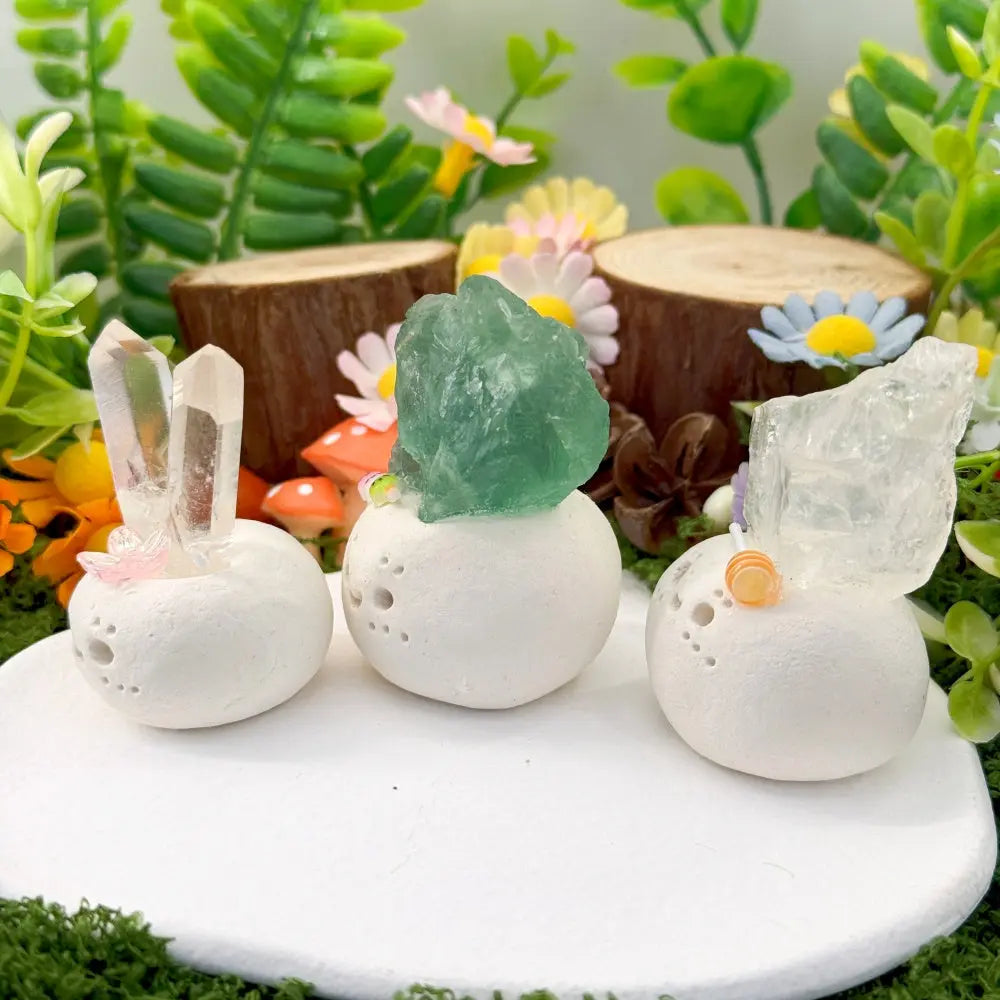 Crystal Pets That Help You Slow Down Shinepurity