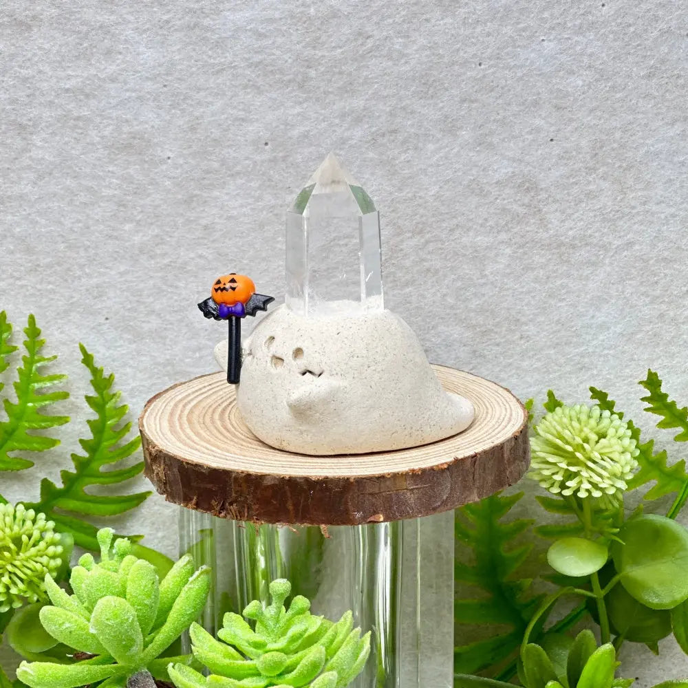 Designer Limited Edition| Pure Energy Gift Clear Quartz Ghost Crystal Pet Shinepurity