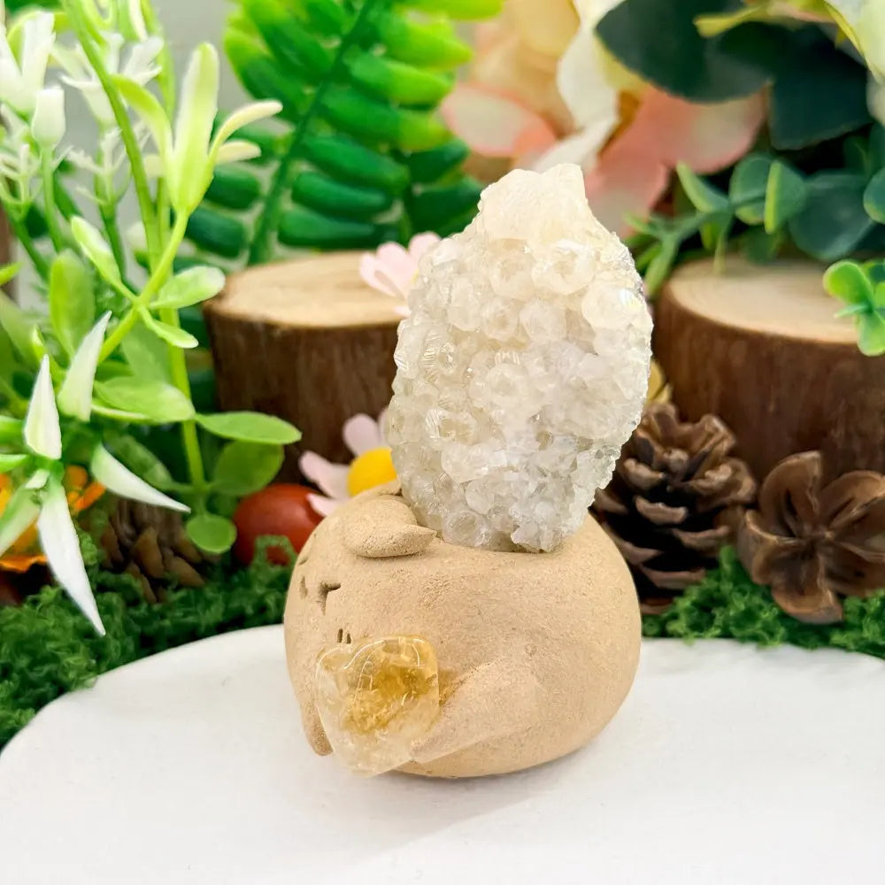Fluorite Crystal Pet A Little Moment of Quiet Relaxation Shinepurity