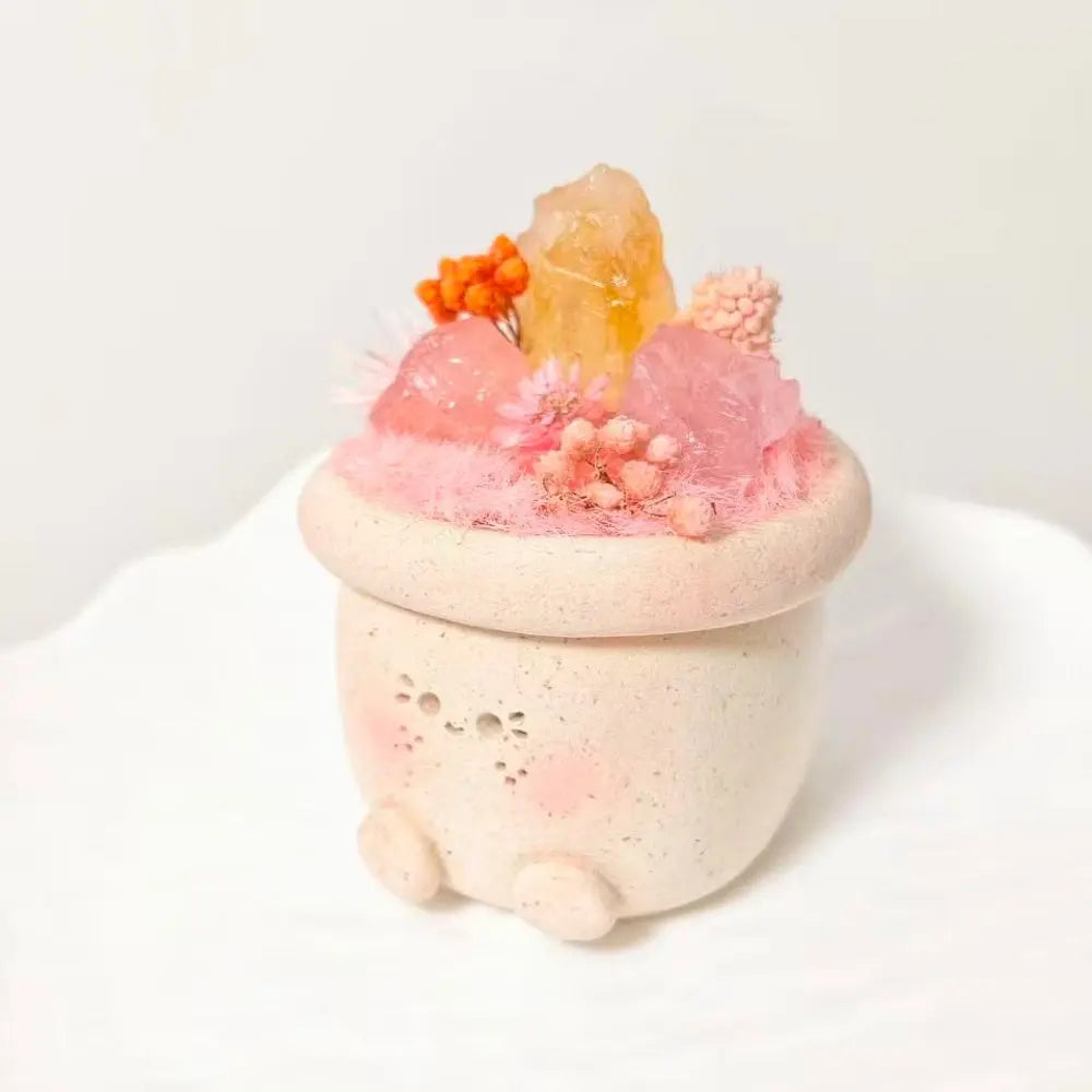 Soft Light Series Rose Quartz & Citrine Crystal Pet Planter Shinepurity