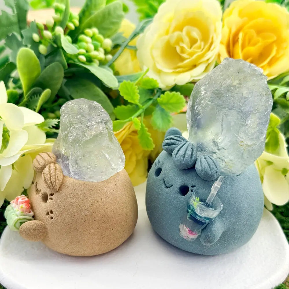 Fluorite Crystal Pet – A Clear and Delicate Accen Shinepurity