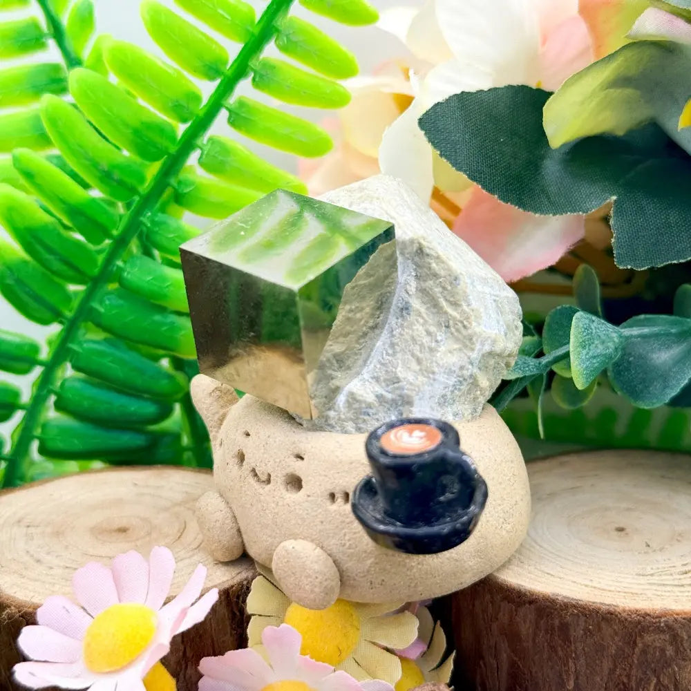 Pyrite Cube Crystal Pet A Small Presence with Calm Strength Shinepurity