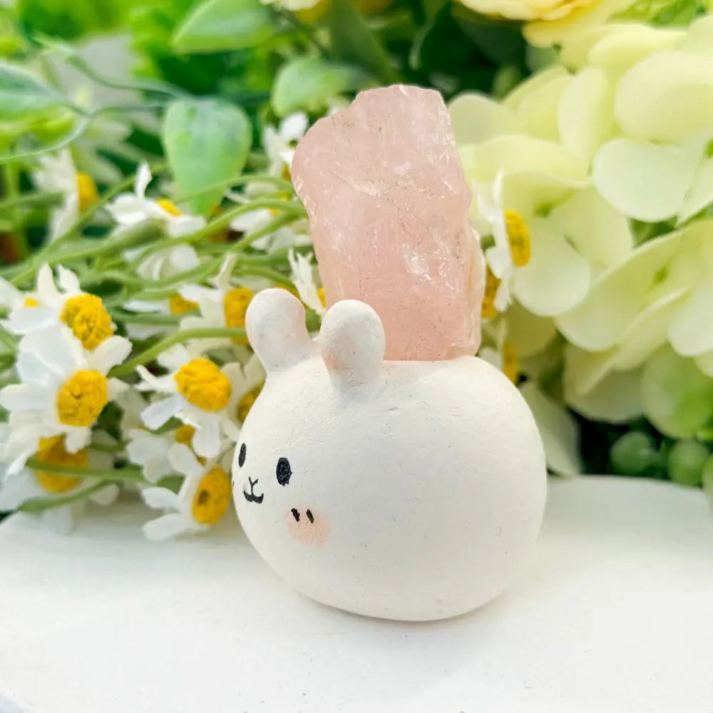 Simple Yet Warm Rose Quartz Crystal Pet Shinepurity