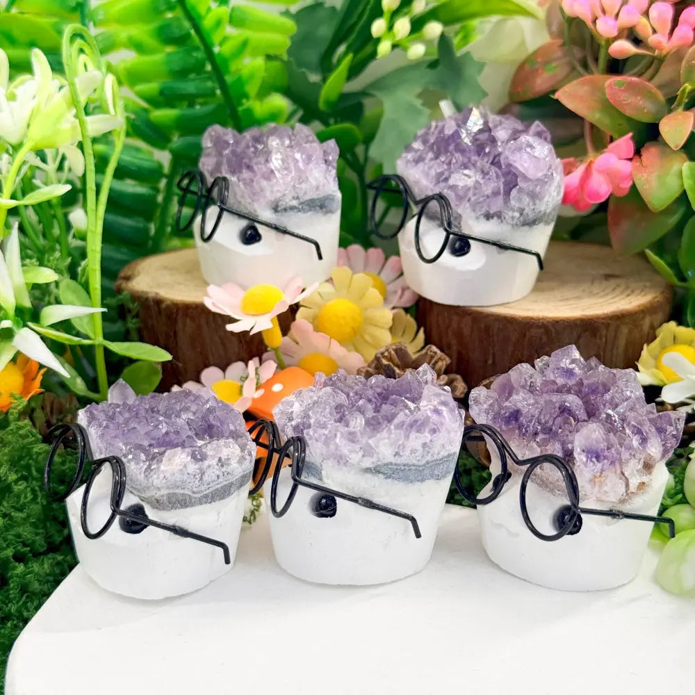 Adorable Glasses Kid Amethyst Crystal Pet Shinepurity