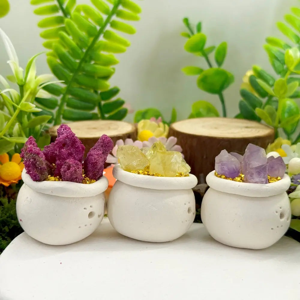 A Little Softness for Your Desk Crystal Pet Planter Shinepurity