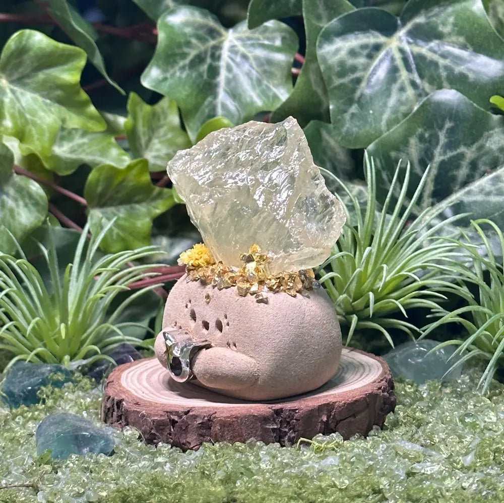 Customize | Taurus Citrine Crystal Pet A Little Piece of Slow Living Shinepurity
