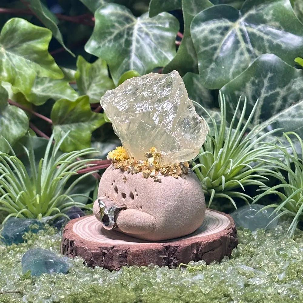 Customize | Taurus Citrine Crystal Pet A Little Piece of Slow Living Shinepurity