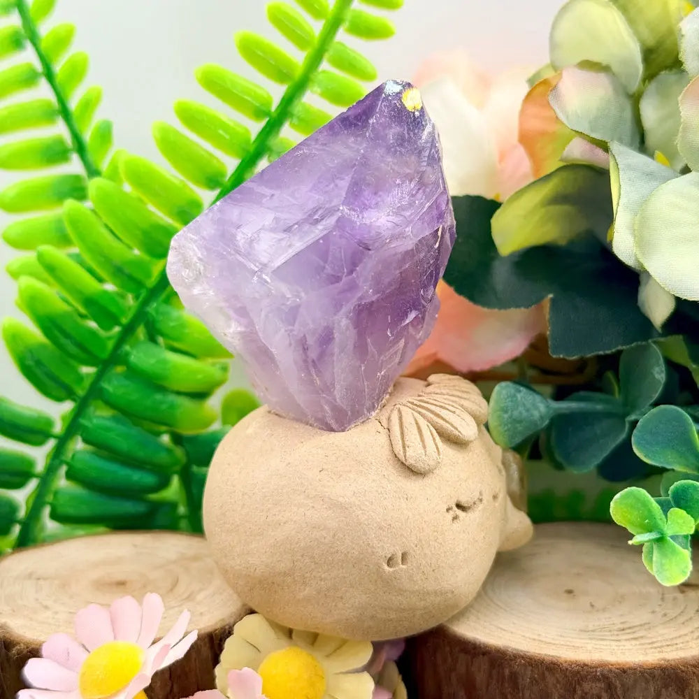 Amethyst Crystal Pet A Quiet Moment of Relaxation Shinepurity