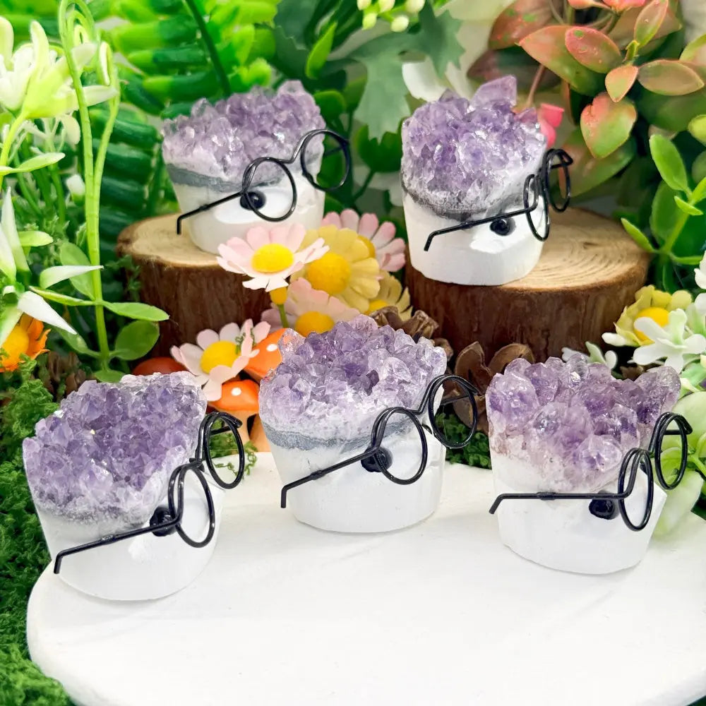 Adorable Glasses Kid Amethyst Crystal Pet Shinepurity