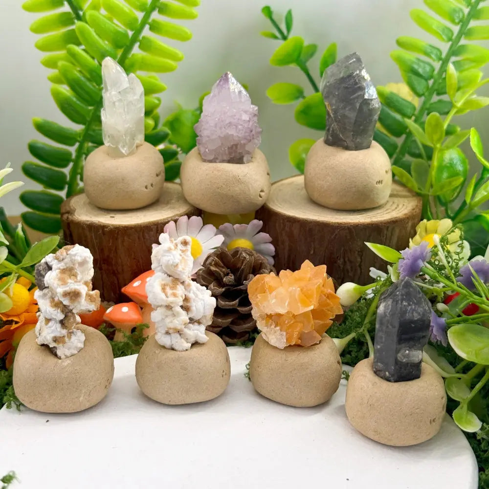 Calm Corner Crystal Pet Shinepurity