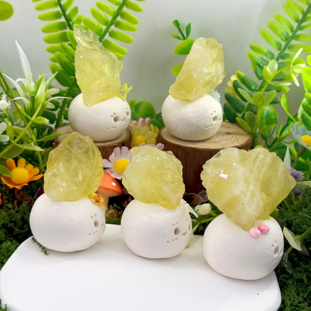 A Citrine Crystal Pet Gentle Like Sunshine Shinepurity