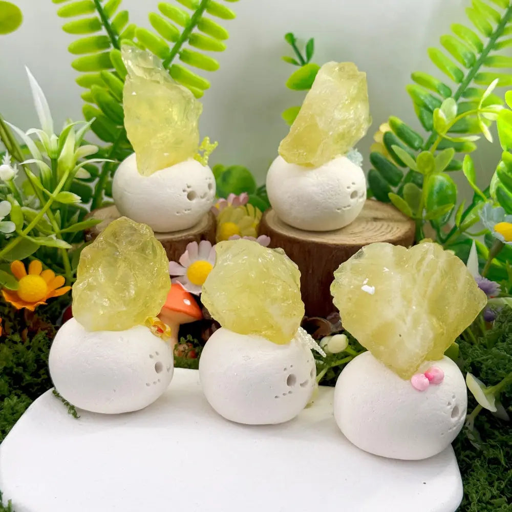 A Citrine Crystal Pet Gentle Like Sunshine Shinepurity