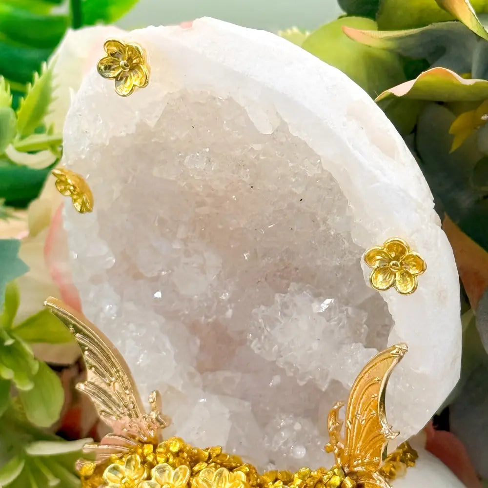 Clear Quartz Geode Crystal Pet A Quiet Little World of Light Shinepurity