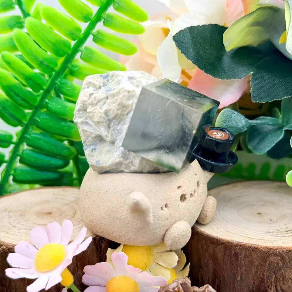 Pyrite Cube Crystal Pet A Small Presence with Calm Strength Shinepurity