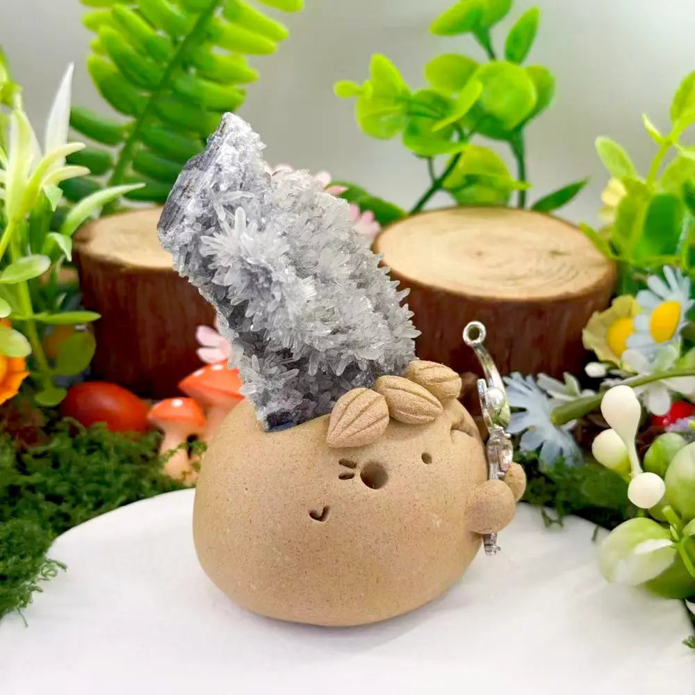 A Quiet Chrysanthemum Crystal Pet Shinepurity