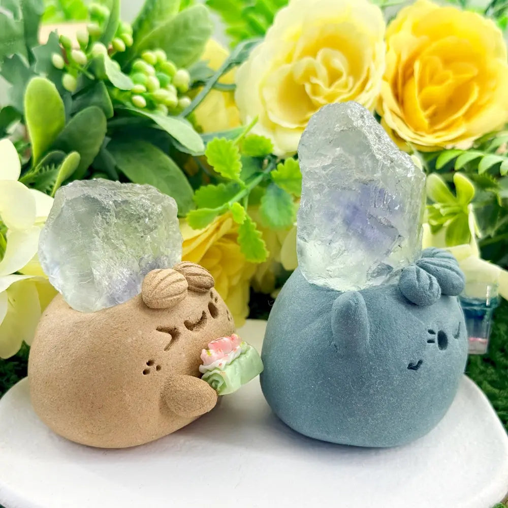 Fluorite Crystal Pet – A Clear and Delicate Accen Shinepurity
