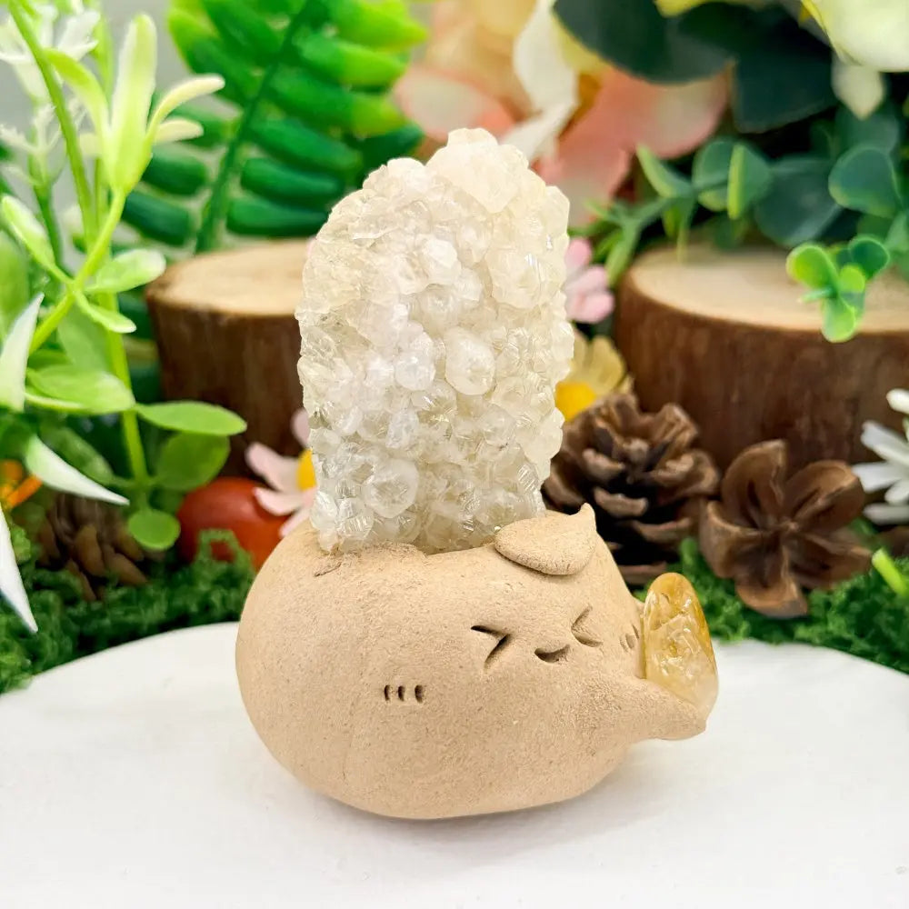 Fluorite Crystal Pet A Little Moment of Quiet Relaxation Shinepurity