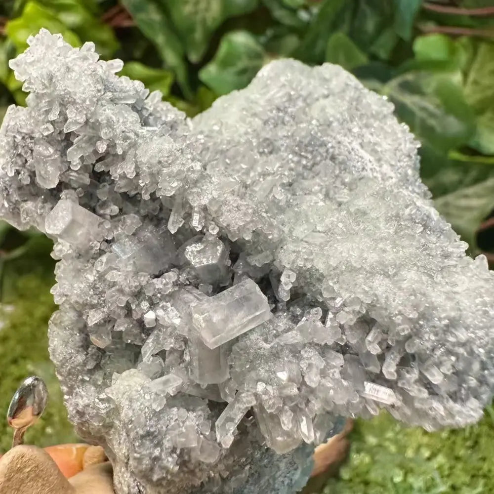 Green Fluorite Intergrowth Crystal Pet Shinepurity